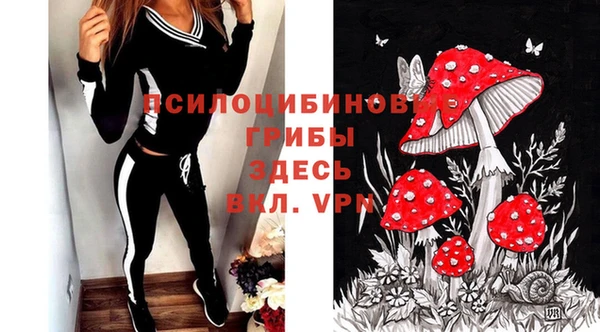 мдпв Баксан